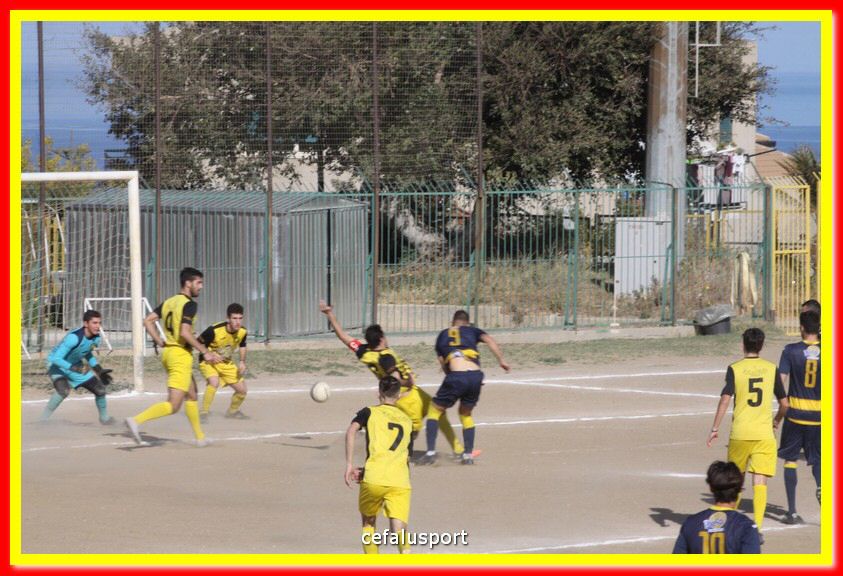 200301 Cepha_Mazara 033.jpg